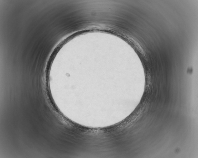 X0000116320784201001131002