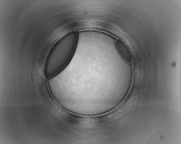 X0000116320785201001131002