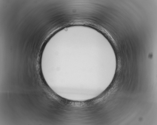 X0000116320786201001131002