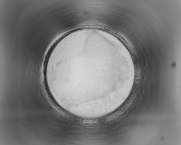 X0000116320788201001131002