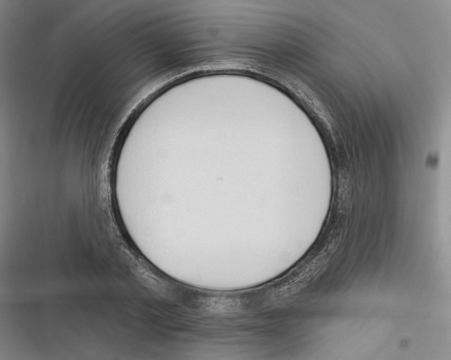 X0000116320789201001131002