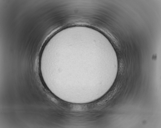 X0000116320790201001131002