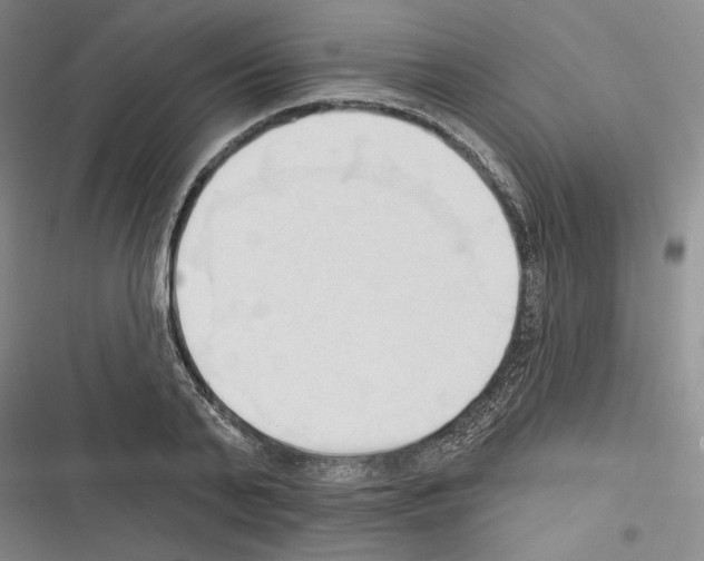 X0000116320791201001131002