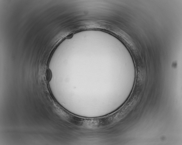 X0000116320793201001131002