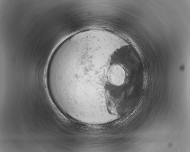 X0000116320795201001131002