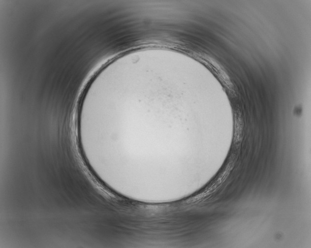 X0000116320796201001131002