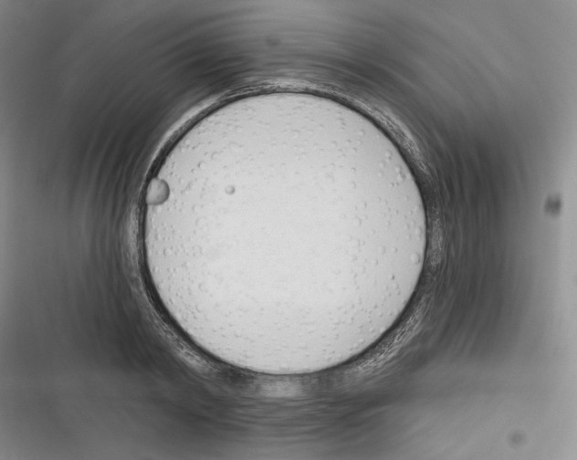 X0000116320798201001131002