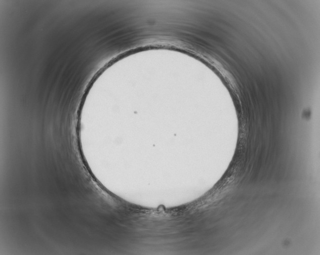 X0000116320799201001131002