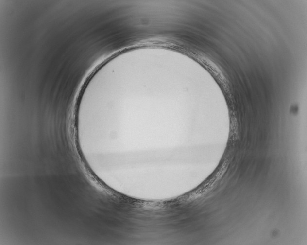 X0000116320800201001131002