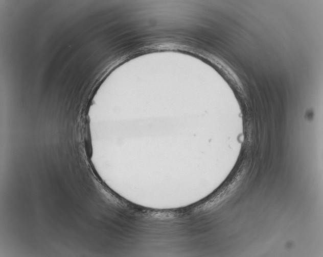 X0000116320801201001131002