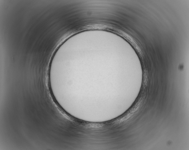 X0000116320802201001131002