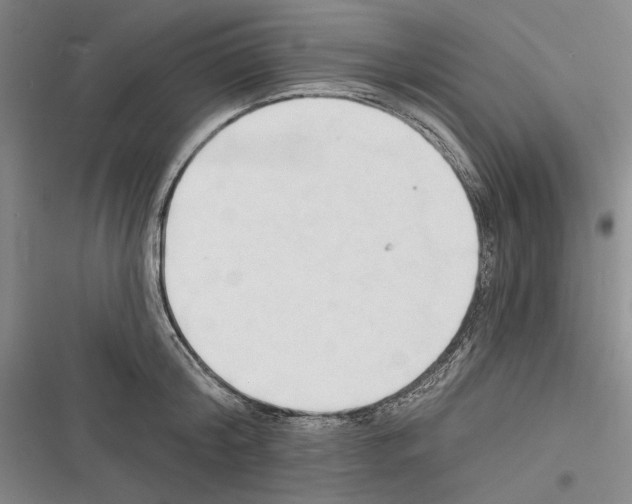 X0000116320804201001131002