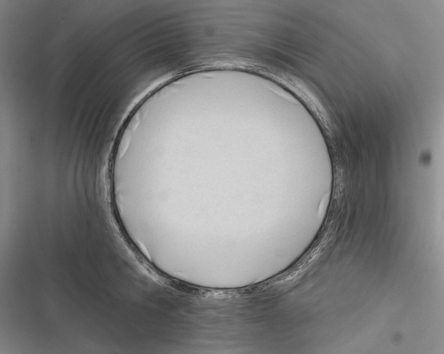 X0000116320806201001131002