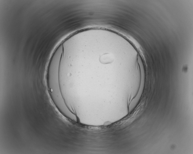 X0000116320807201001131002