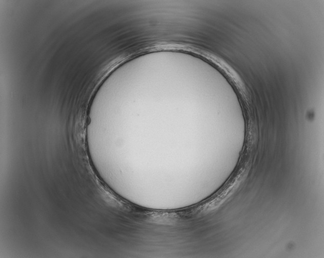 X0000116320809201001131002