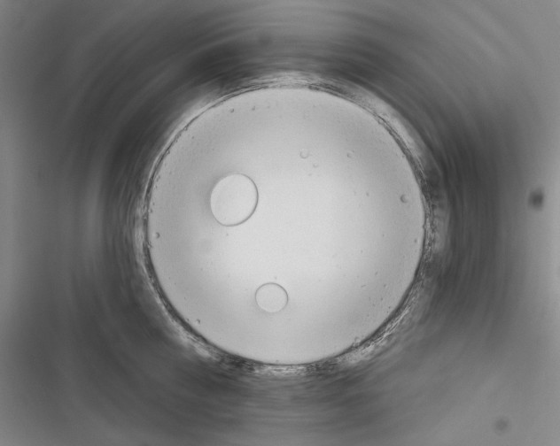 X0000116320810201001131002