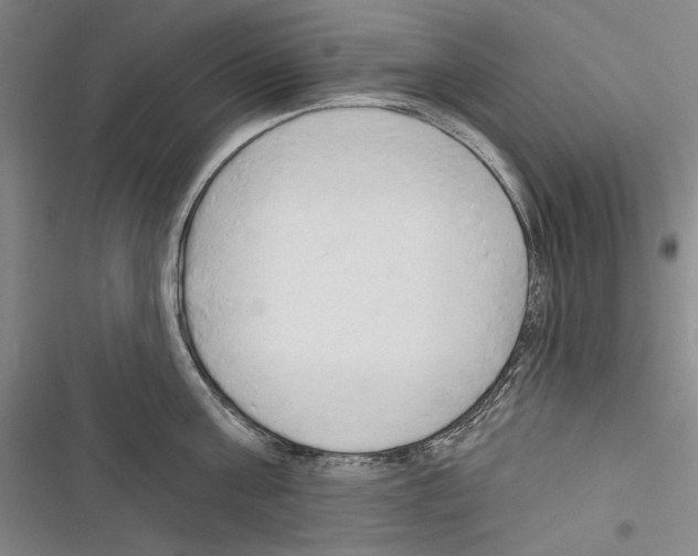 X0000116320811201001131002