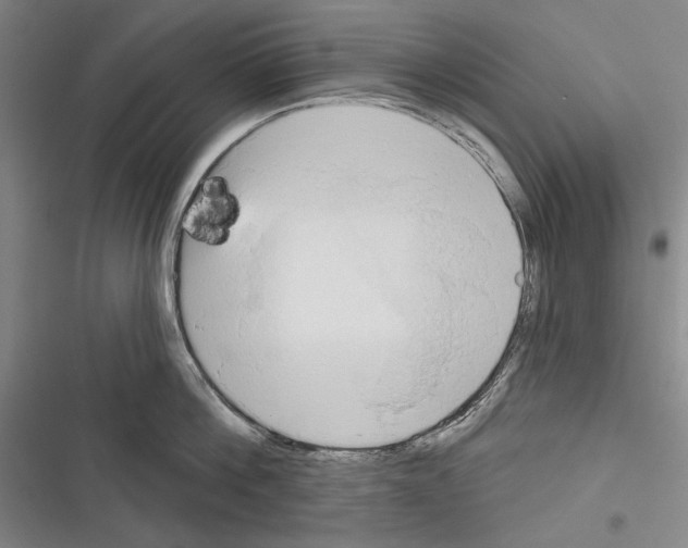 X0000116320812201001131002