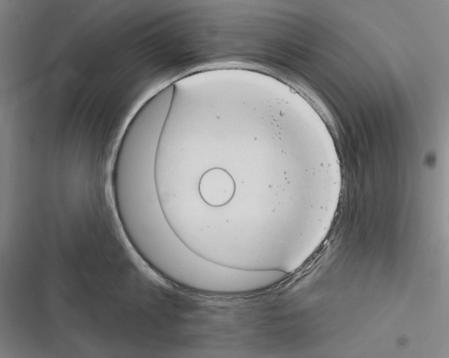 X0000116320813201001131002