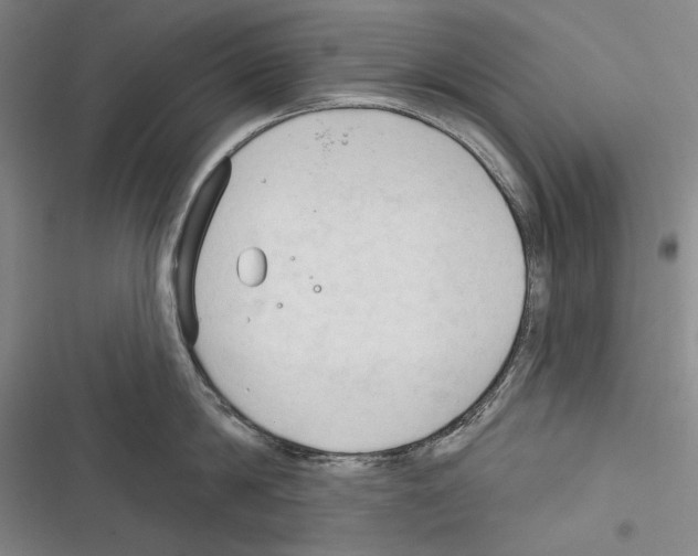 X0000116320814201001131002