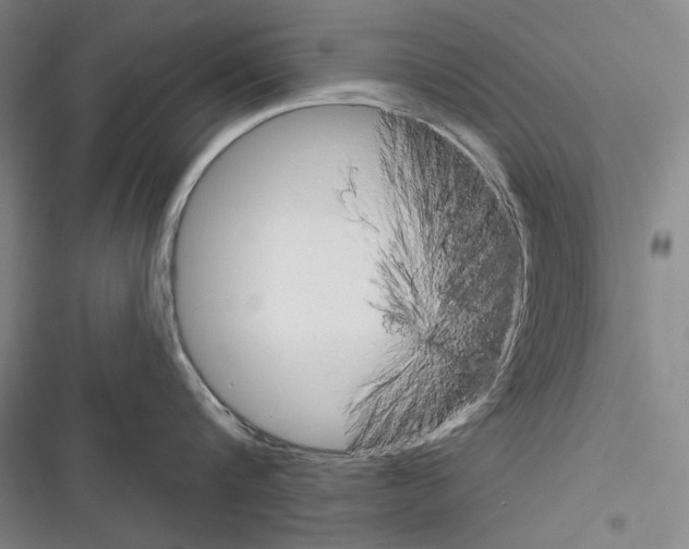 X0000116320816201001131002