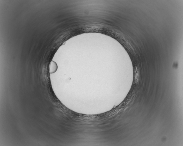 X0000116320819201001131001