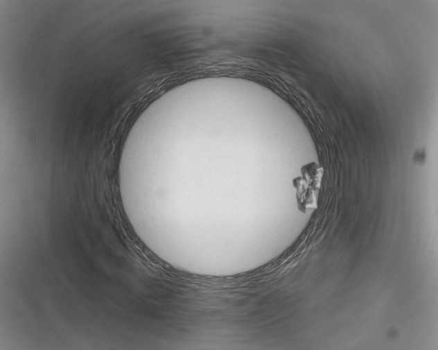 X0000116320820201001131001