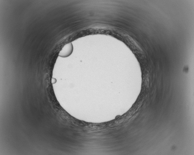 X0000116320821201001131001