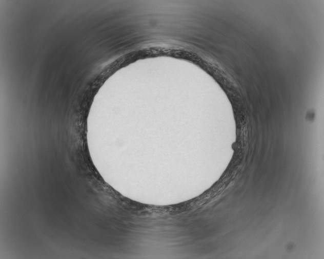 X0000116320822201001131001