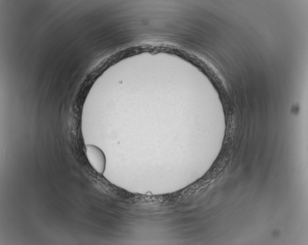 X0000116320823201001131001