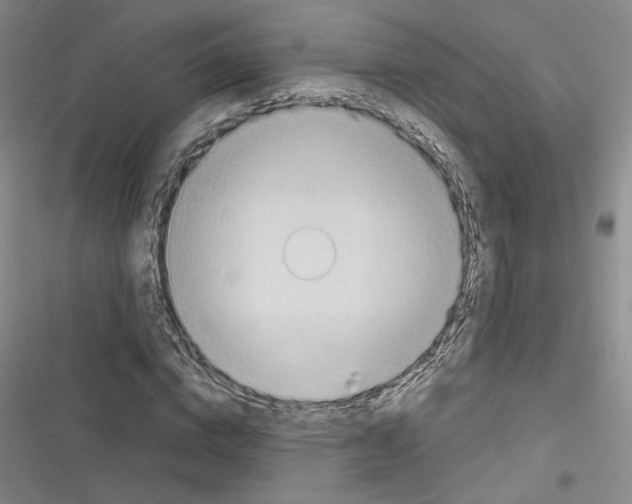 X0000116320824201001131001