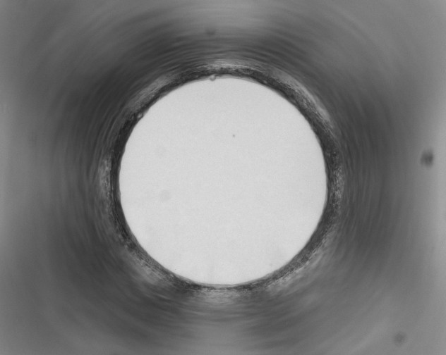 X0000116320825201001131001