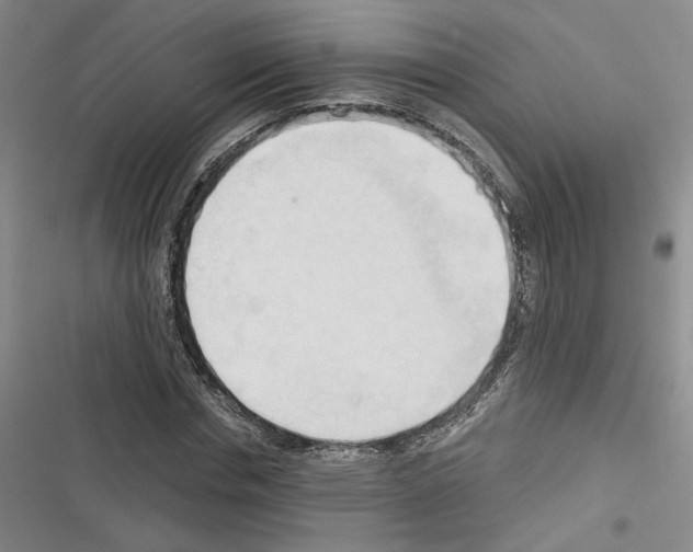 X0000116320826201001131001