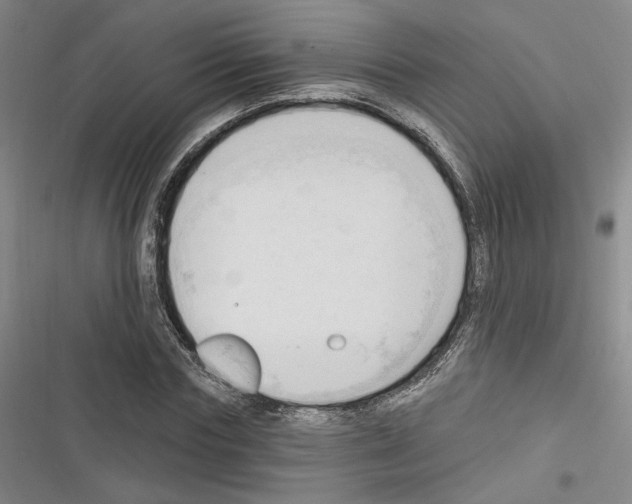 X0000116320827201001131001