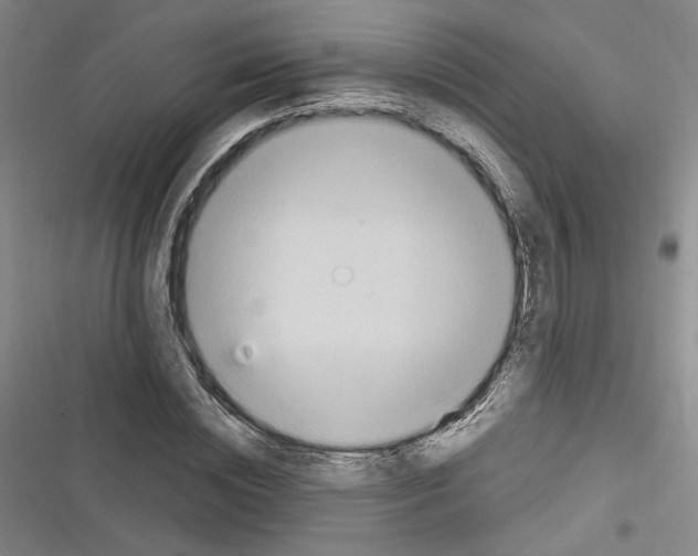 X0000116320828201001131001