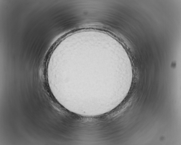 X0000116320830201001131001