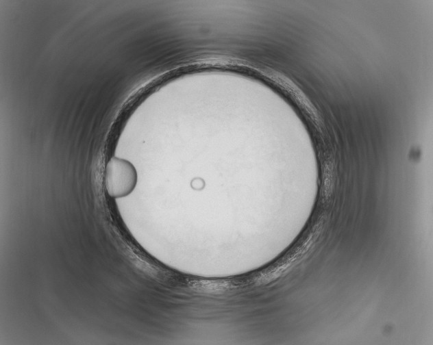 X0000116320831201001131001