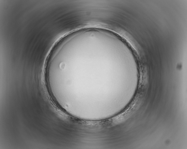 X0000116320832201001131001