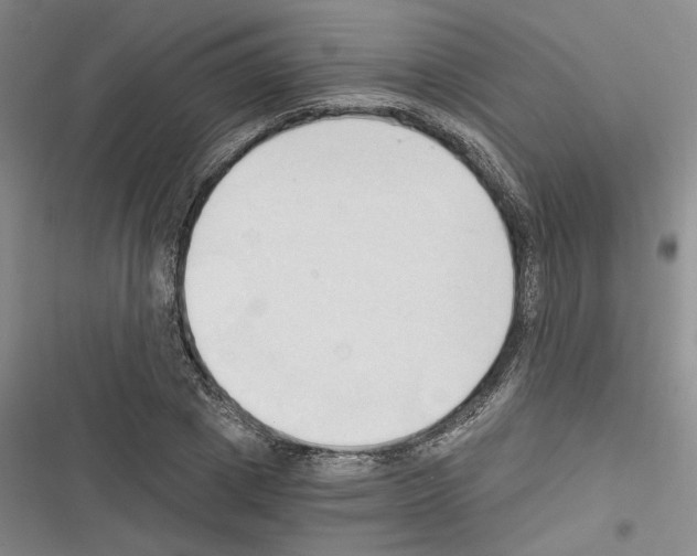 X0000116320833201001131002