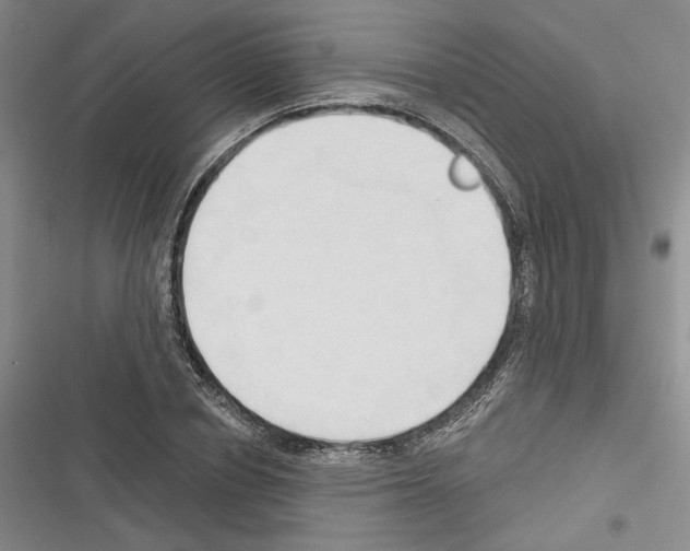 X0000116320834201001131002