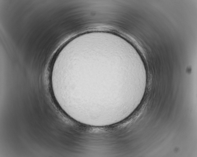 X0000116320835201001131002