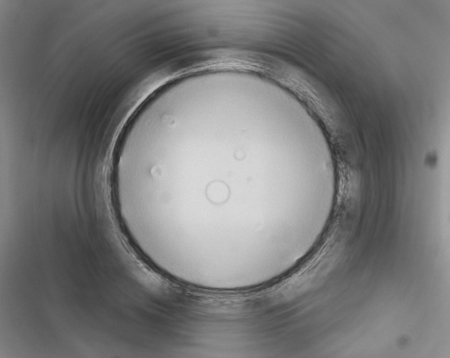 X0000116320836201001131002