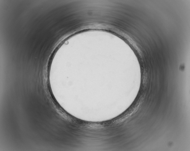 X0000116320837201001131002