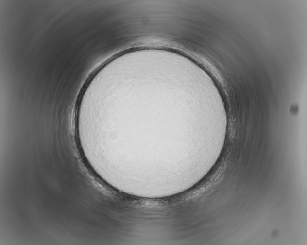 X0000116320839201001131002