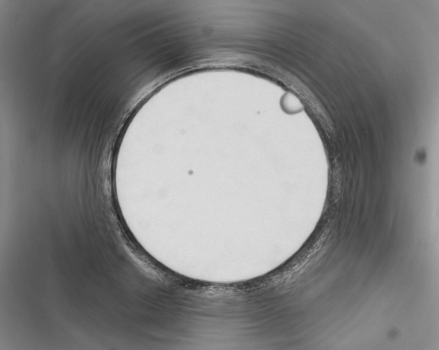 X0000116320842201001131002