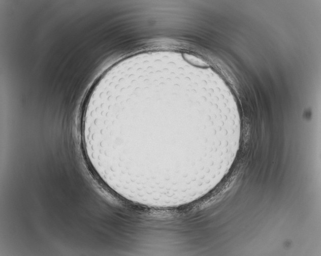 X0000116320843201001131002