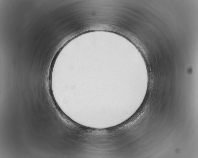 X0000116320845201001131002