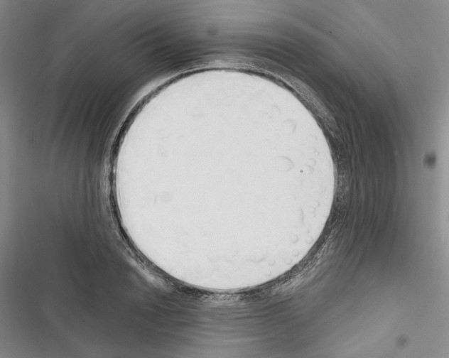 X0000116320846201001131002