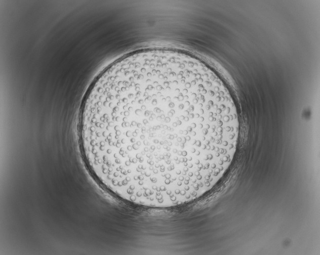 X0000116320847201001131002