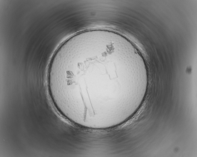 X0000116320848201001131002